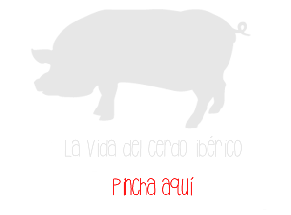 Cerdo Pincha Aqui
