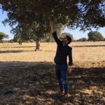 Julian Martin Facility