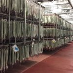 Julian Martin Facility