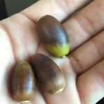 Julian Martin Facility