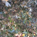 Julian Martin Facility