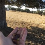 Julian Martin Facility