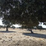 Julian Martin Facility