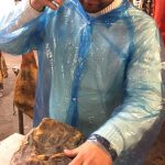 Julian Martin Facility