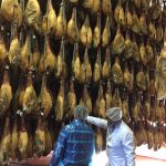 Julian Martin Facility