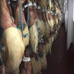 Julian Martin Facility