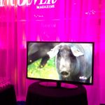 Vancouver Restaurant Awards